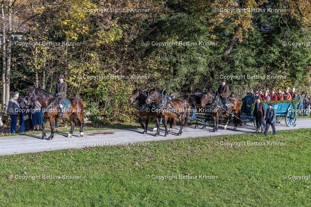 LBT24-597 | foto-bettina-krinner - Realisiert mit Pictrs.com