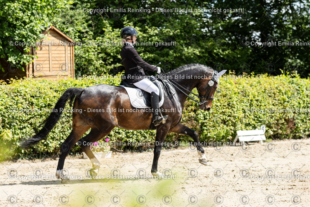 CL5A8347 | Emilia Reinking Fotografie - Realisiert mit Pictrs.com