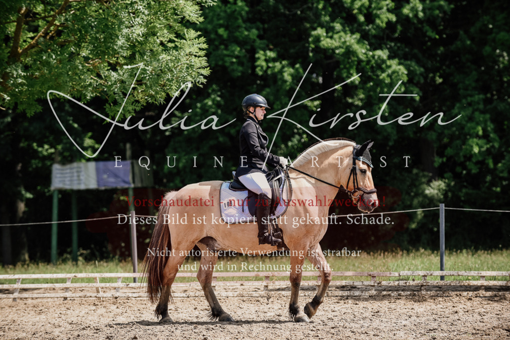 DSC_1648 | Pferde- und Turnierfotografie in Westsachsen. Pferdeportraits, Auftragszeichnungen und intuitive Kunst.