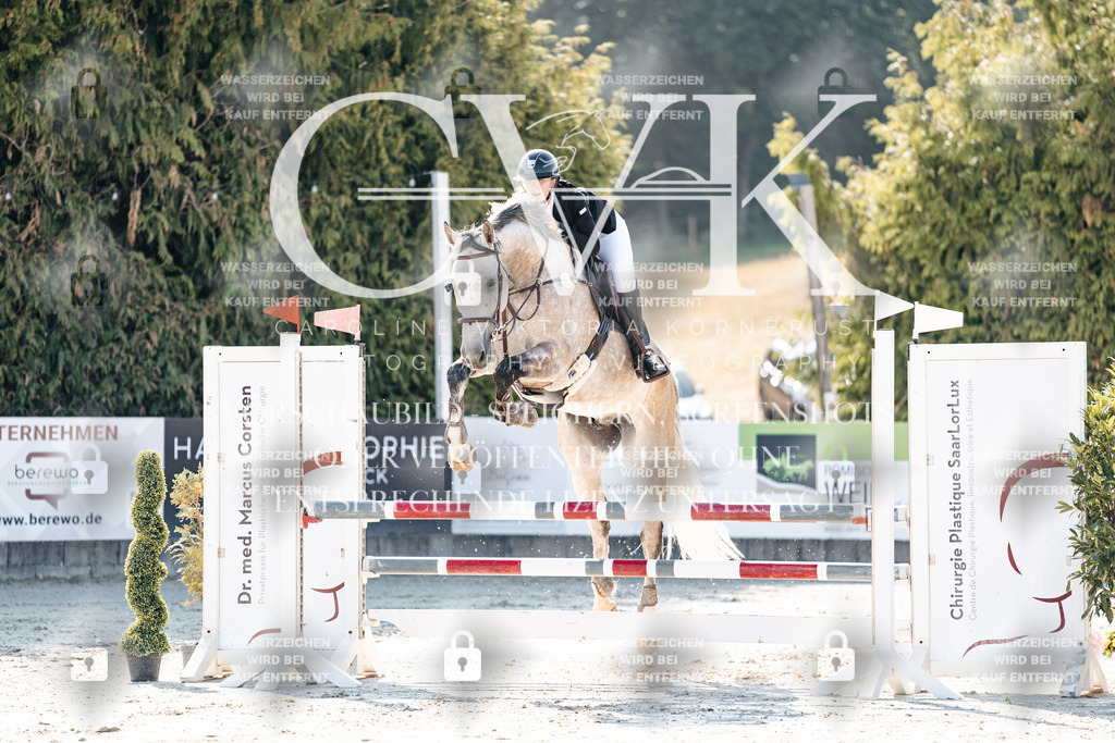 CK907616 | Turnierfotografie Pferdefotografie Trier Rheinland-Pfalz Pferdesport Reitsport Tierfotografie Sportfotografie Pferdevideo Pferdevideografie Equestrianvideography equestrianphotography  - Realisiert mit Pictrs.com