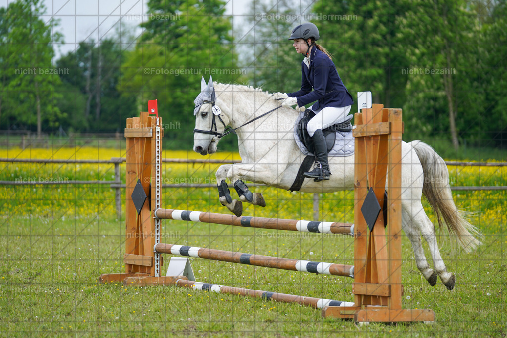 20230520-FAH04839 | Frühjahrsturnier, Landsberg am Lech, 2023, Reitclub Landsberg, Turnierbilder, Fotos Turnier Landsberg, Fotoagentur Herrmann, Turnierfotografen Bayern, Reitsport Fotograf, Pferde Fotograf