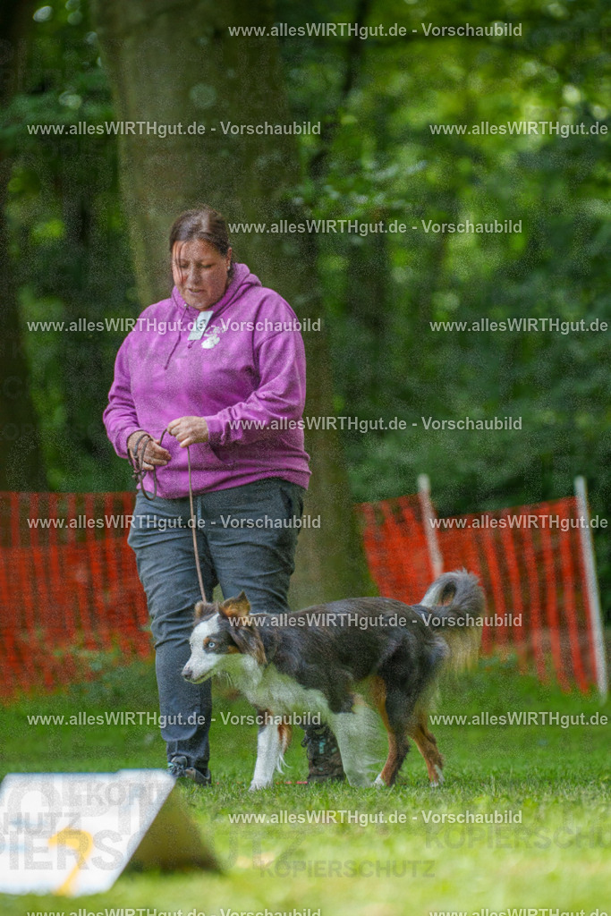 @allesWIRTHgut_Tierfotografie - www.allesWIRTHgut.de - 7R504842 | Professionelle Tierfotografie in Mönchengladbach von Daniel Wirth (allesWIRTHgut). Liebevolle & natürliche Bilder von Hunden & Katzen für unvergessliche Erinnerungen.