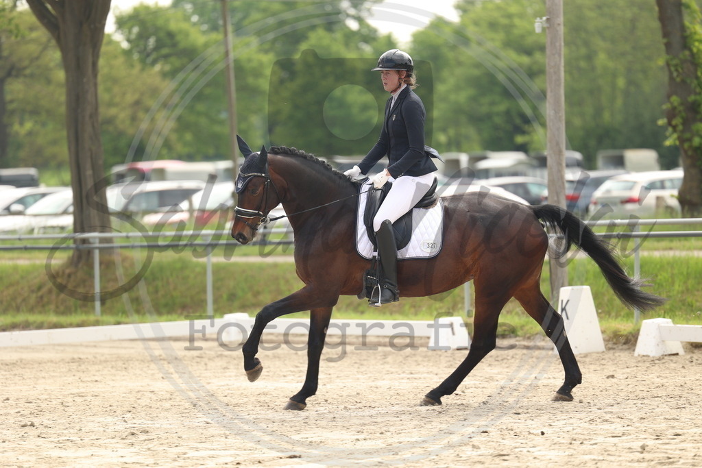 994A6332 | sabrinanicolaifotografie - Realisiert mit Pictrs.com