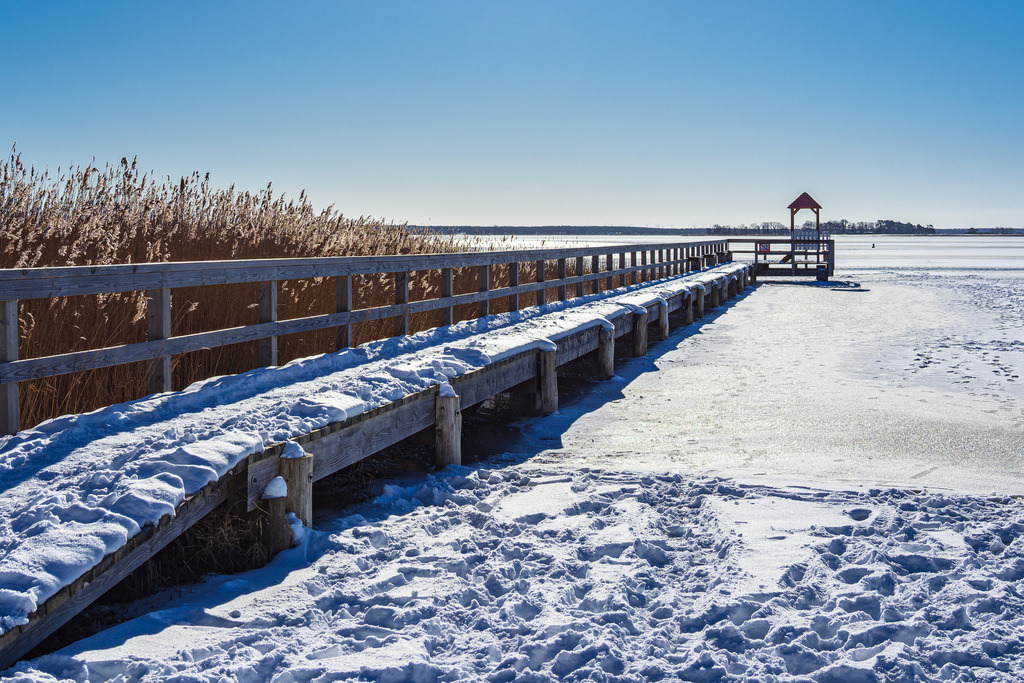 Steg am Bodden bei Wieck auf dem Fischland-Darß im Winter | Steg am Bodden bei Wieck auf dem Fischland-Darß im Winter.