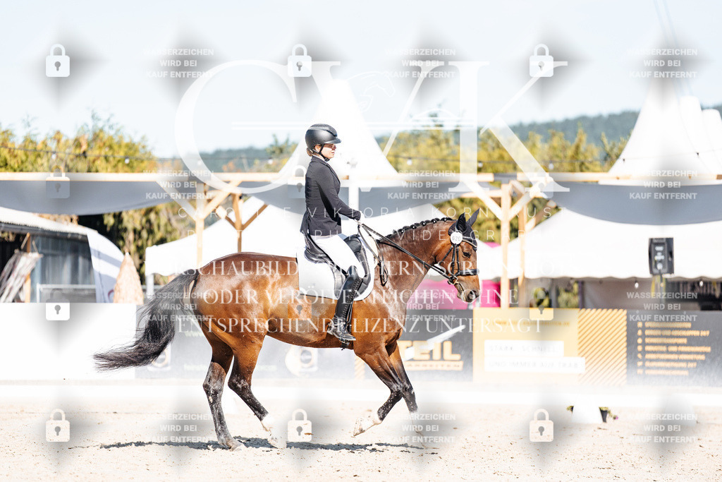 CK908038 | Turnierfotografie Pferdefotografie Trier Rheinland-Pfalz Pferdesport Reitsport Tierfotografie Sportfotografie Pferdevideo Pferdevideografie Equestrianvideography equestrianphotography  - Realisiert mit Pictrs.com