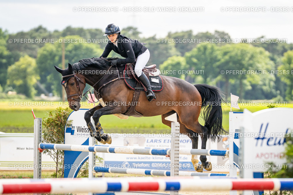 DSC05916 | Pferdegrafie