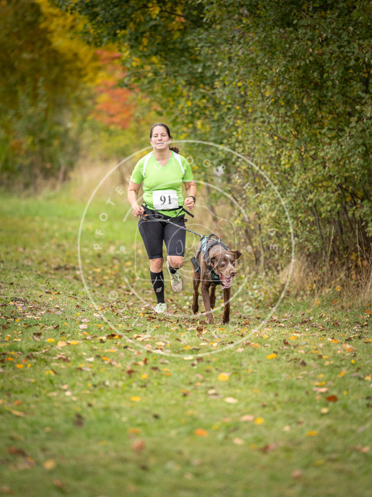 Pfotenfotografie_DV3A3267 | Hundefotografie, Tierfotograf, Pfotenfotografie, Fotoshooting Hund, Hunde Portrait, Hundesport, Hundeportraits, Heideshooting, Hunde, Sportfotograf, Hundefotograf, Turnierhundsport, THS,  - Realisiert mit Pictrs.com