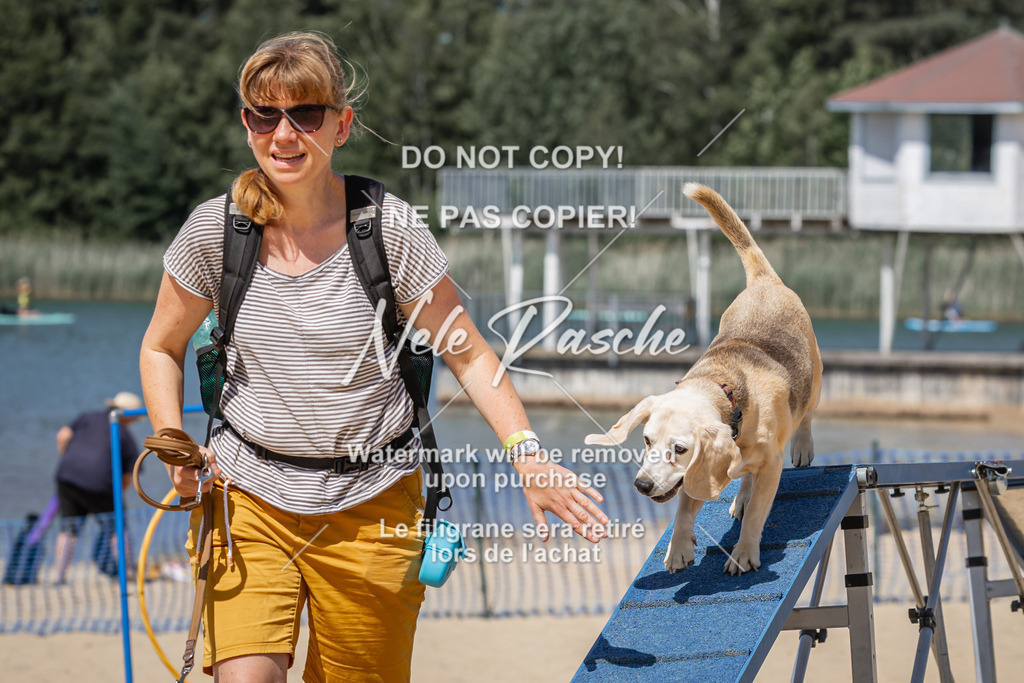 nelerasche_saBeachility_631 | nelerasche