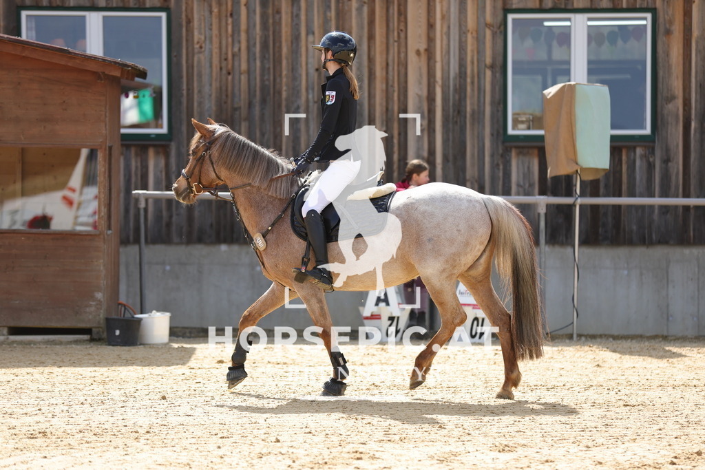 0P6A7746 | Willkommen bei Brunnmayr - Design & Fotografie – Ihrem Spezialisten für Reitturniere und Pferdeveranstaltungen in Oberösterreich, Salzburg und Bayern! Seit über 17 Jahren sind wir leidenschaftlich dabei.