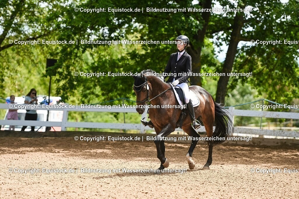 20230716_03_Dressurprfg. Kl.L - Tr._0557 | equistock