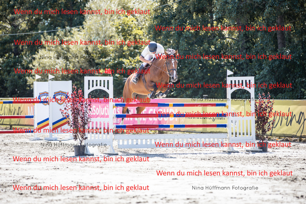 BK1A6364 | Turnierbilder Turnierfotos Nina Hüffmann Turnierfotografie Pferdefotografie Tierzeichnung Haustierzeichnung Pferdezeichnung Hundezeichnung Videograf  - Realisiert mit Pictrs.com