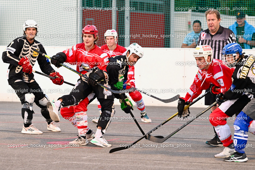 Team Zehenthof vs. HSC Eagles 7.7.2023 | #1 Kravanja Kristian, #7 Van EE Fin, #96 Granza Iacopo, #72 Lindner Lorenz