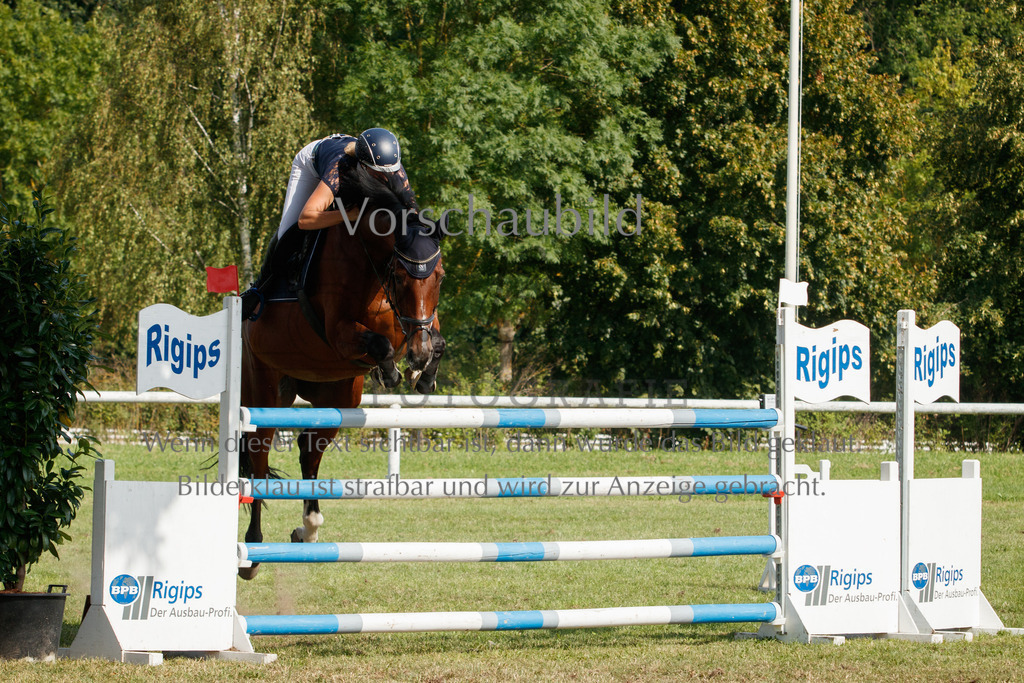 IMG_3791 | P. Berger Fotografie - Realisiert mit Pictrs.com