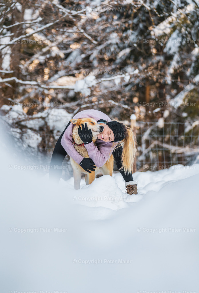 Huskyschlitten_Faubelhof_Hohenthurn-48 | piet_flosse