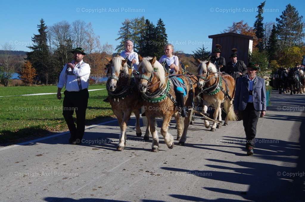 IMGP8573 | fotografiert von Axel PollmannLeonhardi Wallfahrt Benediktbeuern und Murnau, Fronleichnam, Fasching, Landschaft im Loisachtal und Benediktbeuern  - Realisiert mit Pictrs.com