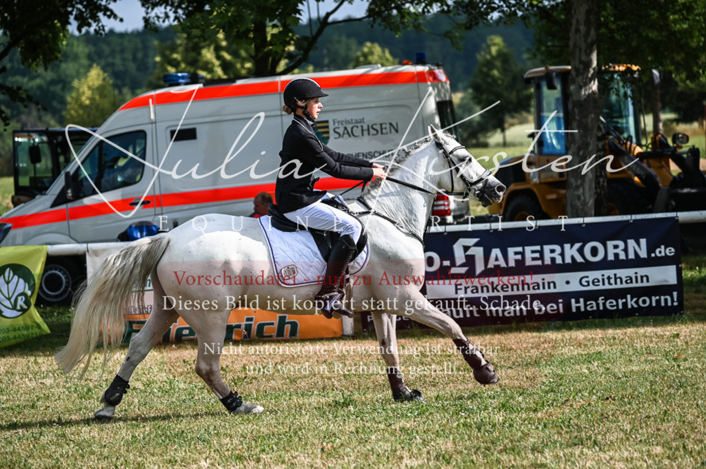 DSC_7719 | Pferde- und Turnierfotografie in Westsachsen. Pferdeportraits, Auftragszeichnungen und intuitive Kunst.