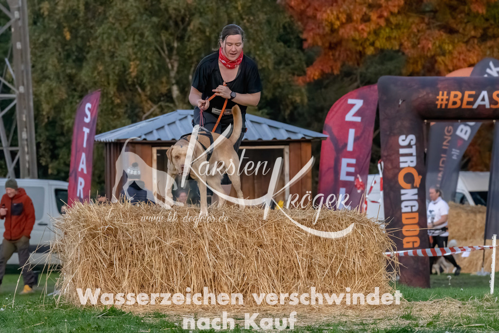 0810_ZZ94531-Bearbeitet | kk-dogfotos