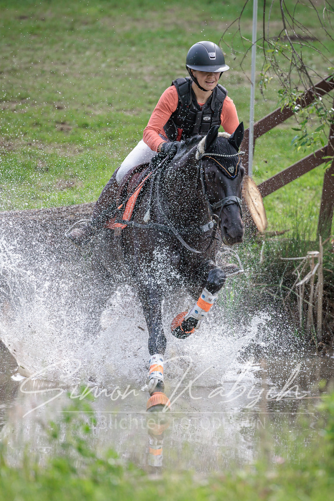 20260523-_3LI9541 | Tierfotografie Pferde, Hunde, Katzen, Haustiere.
Turnierfotografie Reitturniere, Reiten, Springreiten, Dressur in Hanau, dem Main-Kinzig-Kreis und dem Rhein-Main- Gebiet um Frankfurt