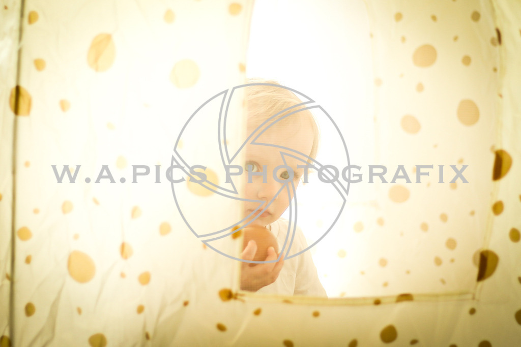 A-WILLDONER_20240501_45 | Photo: WAPICS / Andreas Willdoner