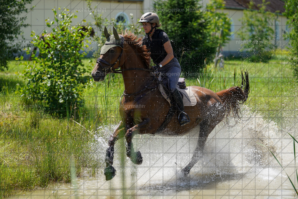 20240622-FAH07116 | Turnierfotografen Bayern, Reitsportbilder aus dem Geländekurs mit Felix Etzel auf dem Gut Waitzacker 2024