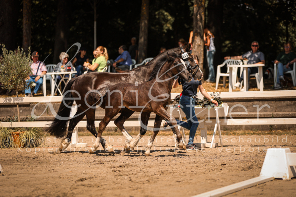 04.DoWP00086 | Leoni Ertmer Photography - Realisiert mit Pictrs.com