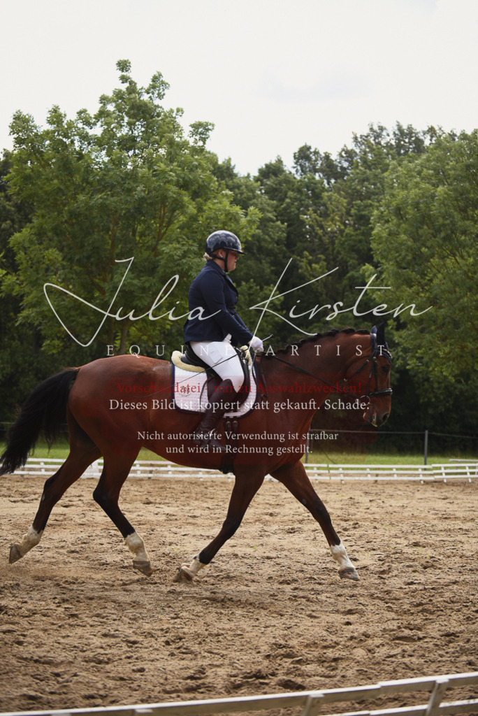 DSC_0820 | Pferde- und Turnierfotografie in Westsachsen. Pferdeportraits, Auftragszeichnungen und intuitive Kunst.