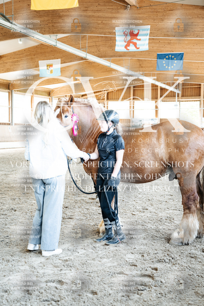 CK703227 | Turnierfotografie Pferdefotografie Trier Rheinland-Pfalz Pferdesport Reitsport Tierfotografie Sportfotografie Pferdevideo Pferdevideografie Equestrianvideography equestrianphotography  - Realized with Pictrs.com