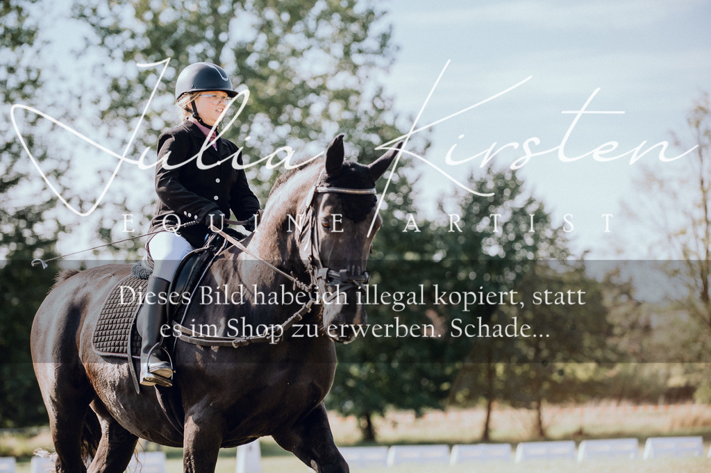 DSC_6895 | Pferde- und Turnierfotografie in Westsachsen. Pferdeportraits, Auftragszeichnungen und intuitive Kunst.