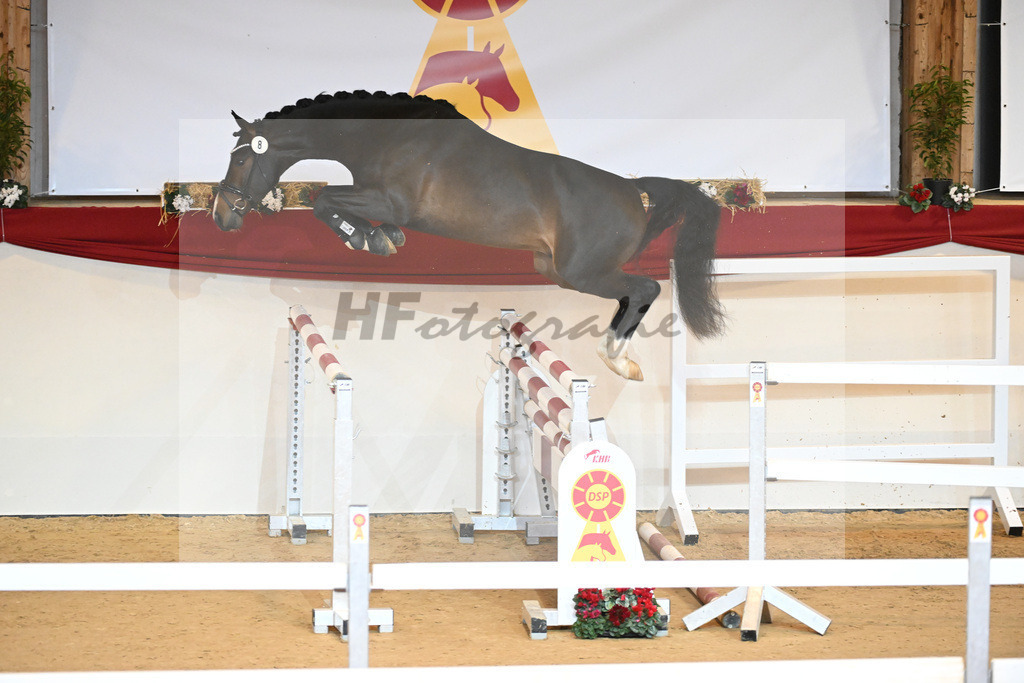 Kat-Nr. 8 Chaccos Son II_Schulze Averdiek_1230746 | hf-fotografie - Realisiert mit Pictrs.com
