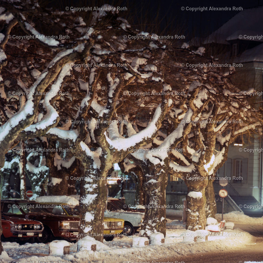 Aarau_0951 Kopie | onlineshop - Realisiert mit Pictrs.com