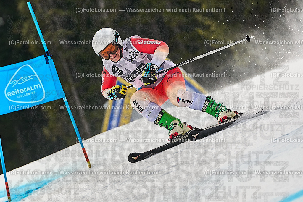 _WWO3137_MASTERS-WM_Reiteralm_CD-SG_SCHAERER Julia | FISWORLD CHAMPIONSHIPSMASTERS ALPINE SKIING, 23. – 28. MÄRZ 2026 - REITERALM | STMK | AUT.   Veranstaltet vom Masters-Referat des Deutschen Skiverbandes (DSV). Durchführende Organisation: WSV Pichl-Reiteralm, unterstütutzt von den Bergbahnen REITERALM bei Schladming und SKI AUSTRIA.                            Disziplinen:  Super-G, GiantSlalom, Slalom.                                                 Kategorien:  A (Herrn 30-59 Jahre), B (Herrn ab 60 Jahre), C (Damen 30-59 Jahre), D (Damen ab 60 Jahre).                Rennstrecken:   Gasselhöhe und Muldenliftpiste auf der Reiteralm.