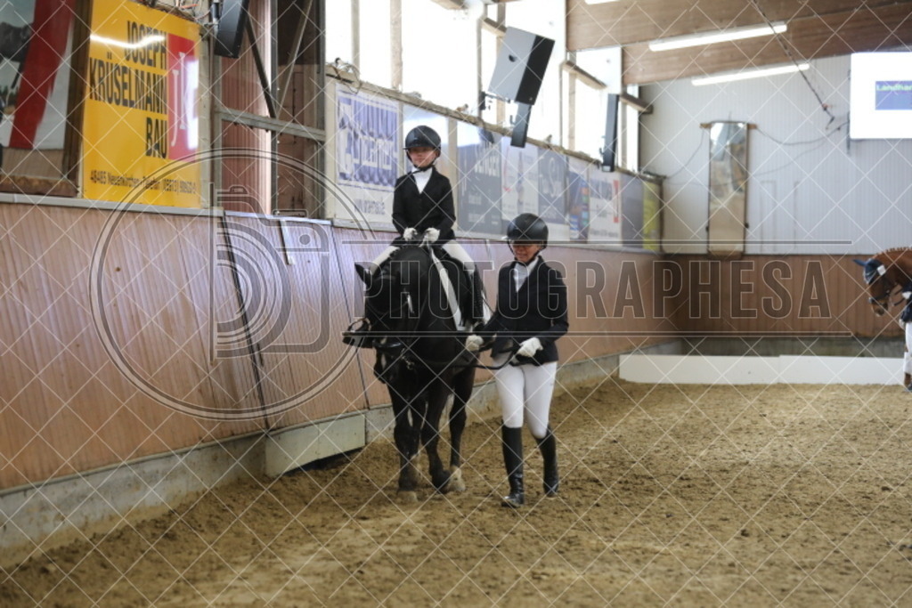 IMG_3340 | photographesa-joergens - Realisiert mit Pictrs.com