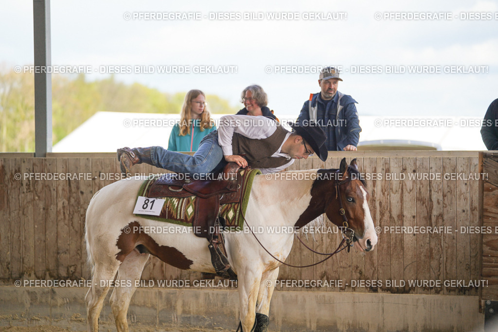 DSC06819 | Pferdegrafie