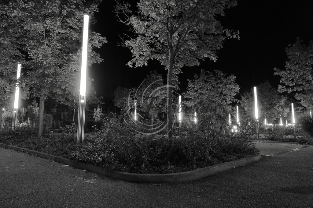 2021_10_02_2058bea | Frank Herberich Fotografie, Frank Herberich, Fotografie, Hochzeit, Portrait, St. Peter Ording, Ording, Westerhever, Nordsee, Frank Fotografie, Hardheim,  Odenwald,Walldürn, Band,Eventfotografie - Realisiert mit Pictrs.com