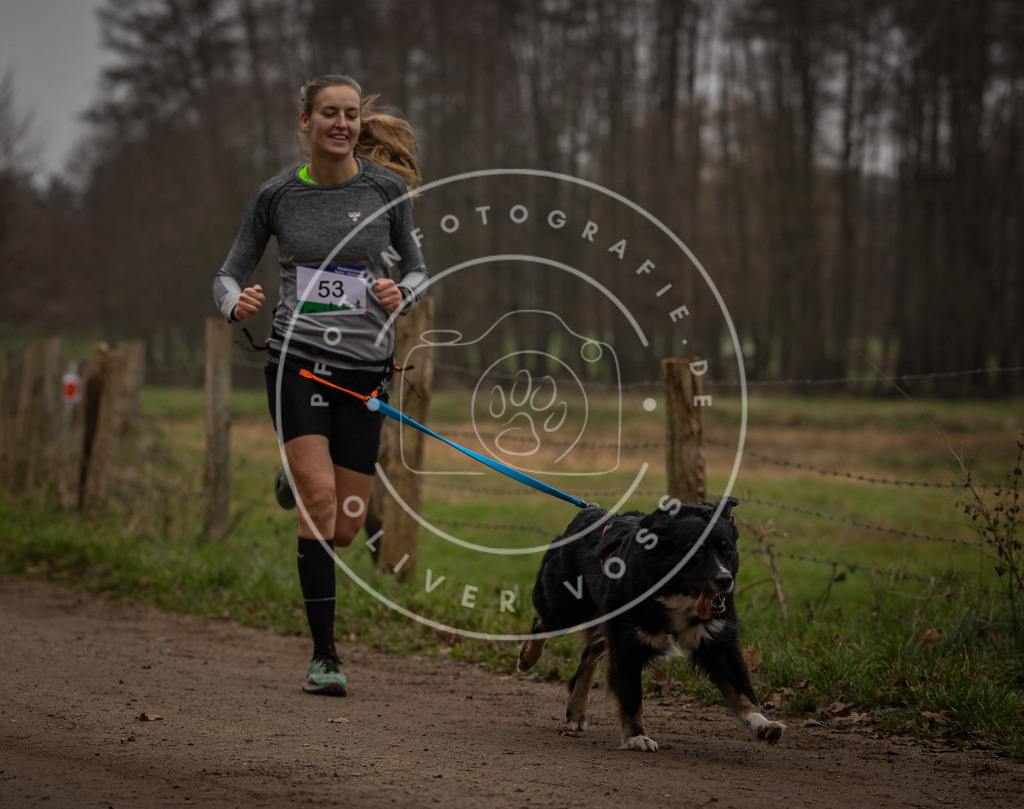 Pfotenfotografie_DV3A2947 | Hundefotografie, Tierfotograf, Pfotenfotografie, Fotoshooting Hund, Hunde Portrait, Hundesport, Hundeportraits, Heideshooting, Hunde, Sportfotograf, Hundefotograf, Turnierhundsport, THS,  - Realisiert mit Pictrs.com
