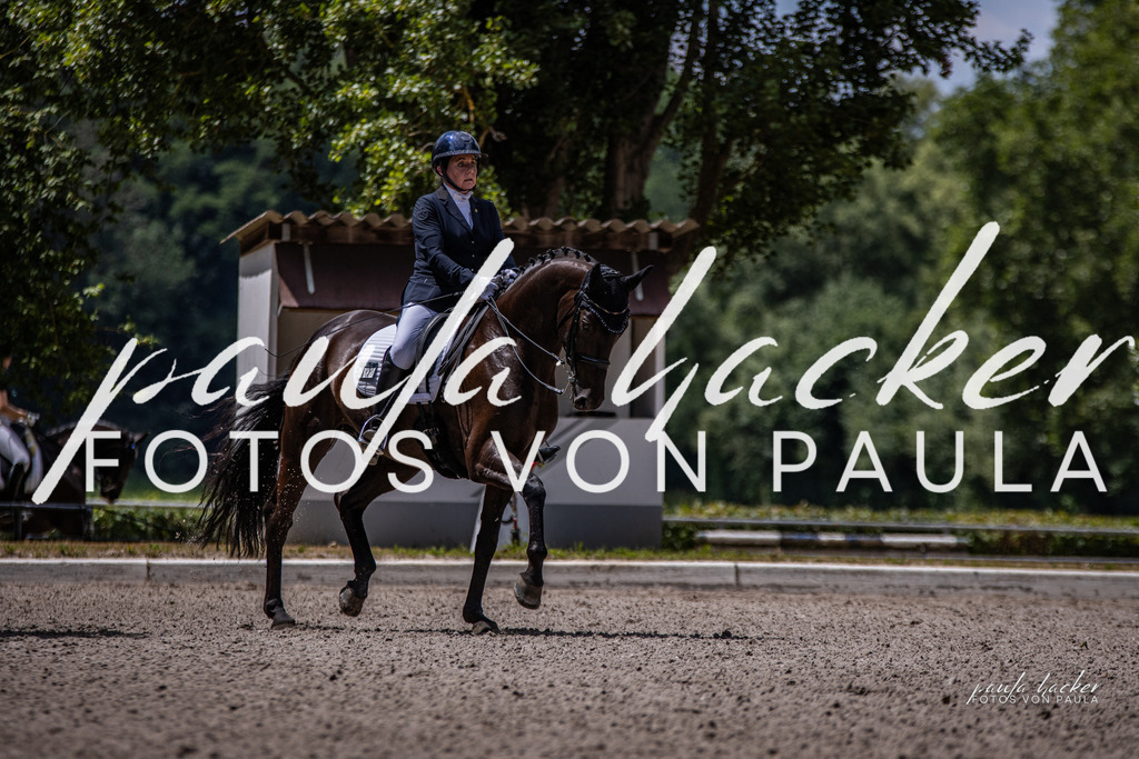 IMG_8350 | Erleben Sie dynamische Sport- und emotionale Tierfotografie in Süddeutschland mit Fotos von Paula. Spezialisiert auf Pferde- und Hundefotografie sowie Sportevents. Kontaktieren Sie mich für einzigartige und ausdrucksstarke Bilder Ihrer besonderen Momente. - Realisiert mit Pictrs.com