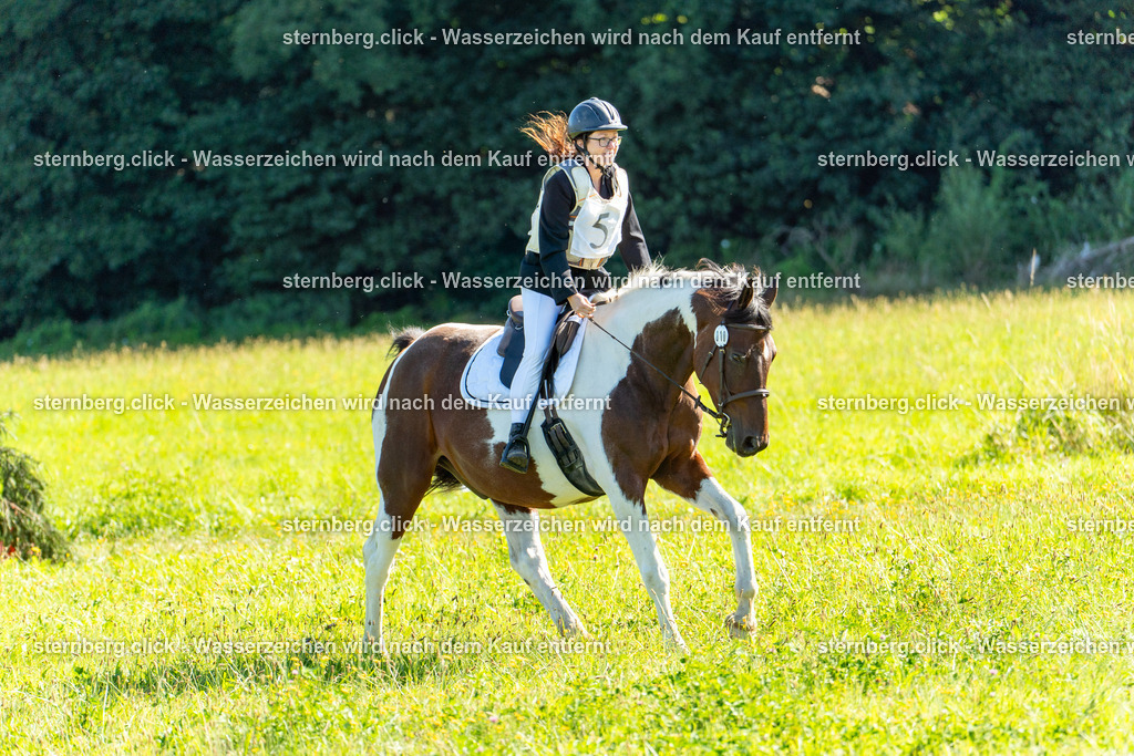 2026-08-08_08-49-03_WBO_Pulsnitz | sternberg.click - Realisiert mit Pictrs.com