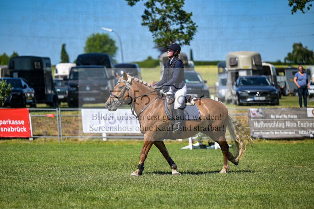 Reitturnier Voxtrup | Entdecke hochwertige Reitturnierfotos von Foto Oger. Professionell, emotional und authentisch – jetzt Lieblingsmomente im Shop bestellen.Deutschlandweite Turnierfotografie. - Realisiert mit Pictrs.com