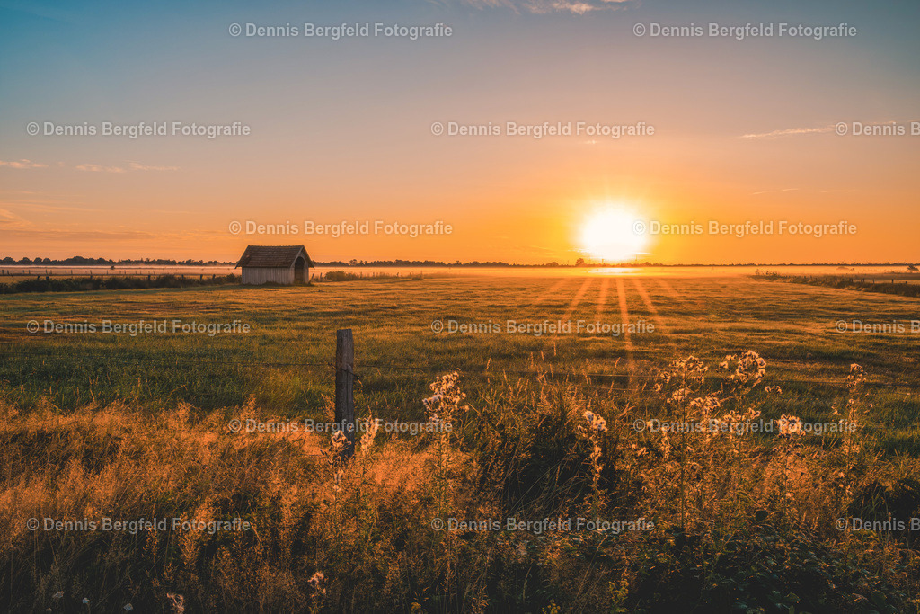 Sonnenaufgang im Recker Moor 2 | Entdecken Sie Natur, Makro und Tierfotografie von Dennis Bergfeld.Besondere Momente und Details der Natur, hochwertig als Foto und Wandbild erhältlich. - Realisiert mit Pictrs.com