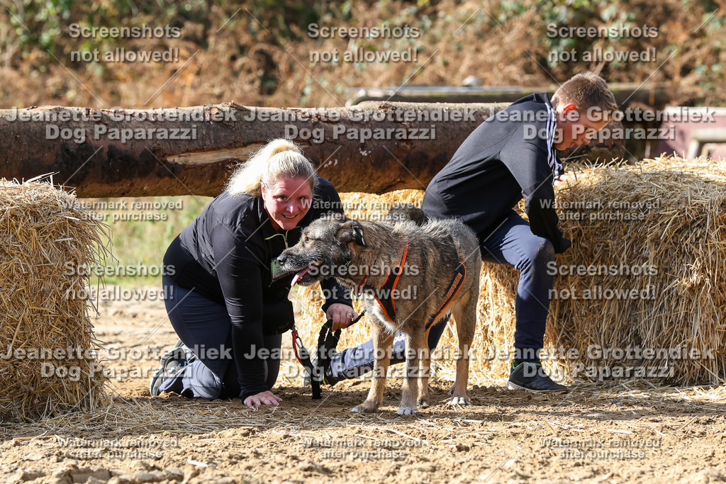 Dog Paparazzi - Strongdog 10-25-5201 | Dog Paparazzi Jeanette Grottendiek Fotografie & Videografie - Realisiert mit Pictrs.com