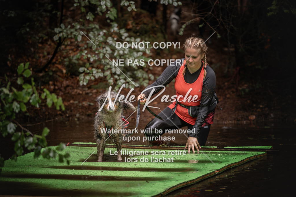 nelerasche_Wingst_Sa1330-1400_273 | nelerasche