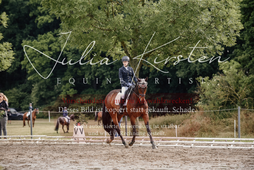 DSC_8635 | Pferde- und Turnierfotografie in Westsachsen. Pferdeportraits, Auftragszeichnungen und intuitive Kunst.