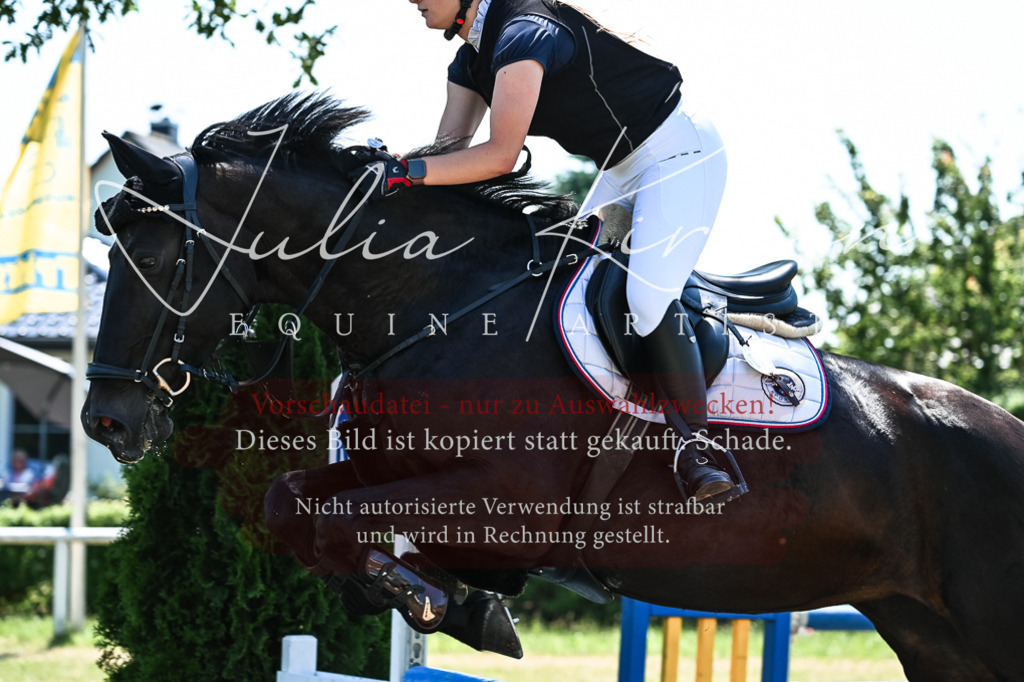 DSC_0509 | Pferde- und Turnierfotografie in Westsachsen. Pferdeportraits, Auftragszeichnungen und intuitive Kunst.