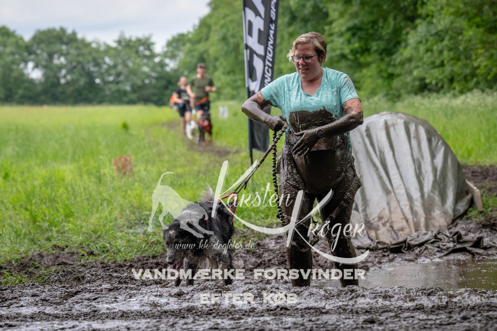 1628_ZZ94167 | kk-dogfotos