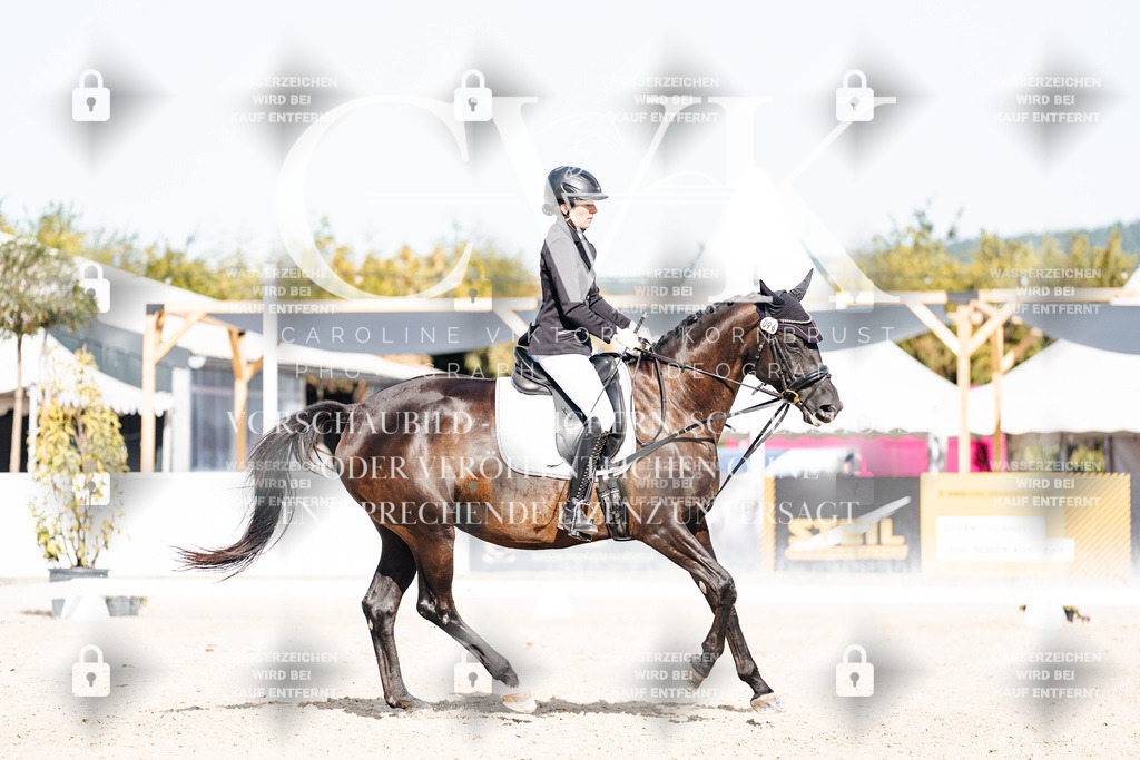 CK905603 | Turnierfotografie Pferdefotografie Trier Rheinland-Pfalz Pferdesport Reitsport Tierfotografie Sportfotografie Pferdevideo Pferdevideografie Equestrianvideography equestrianphotography  - Realisiert mit Pictrs.com