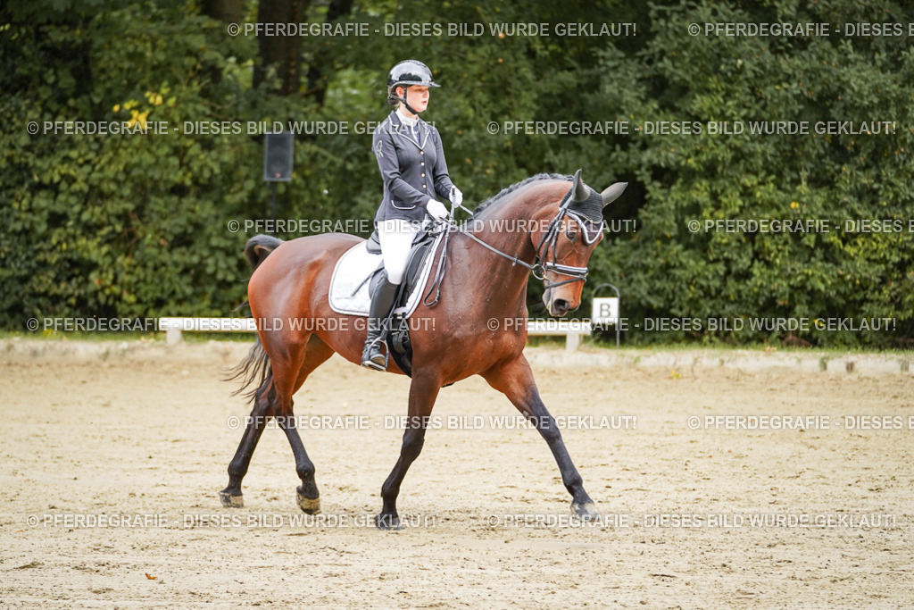 DSC08980 | Pferdegrafie