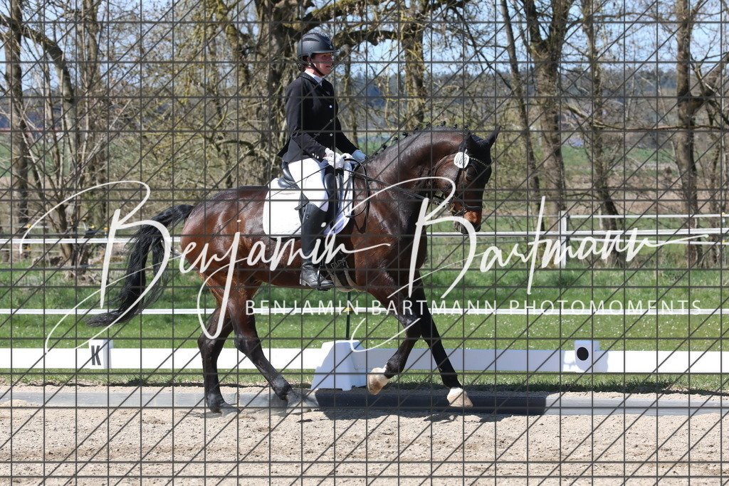 AZ2A4380 | Benjamin Bartmann Photomoments