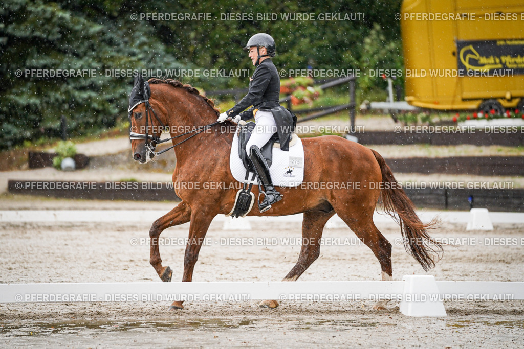 DSC08975 | Pferdegrafie