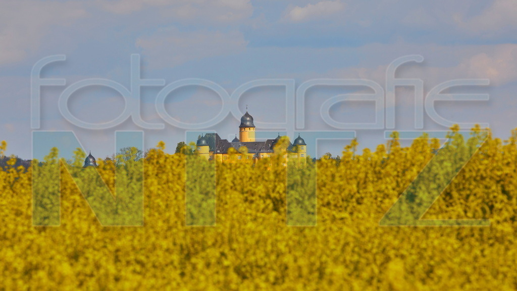 2022-04-27 16-02-38_5D429870_2 | Nitz Fotografie aus Montabaur bietet Ihnen hier die Möglichkeit Bilder auszusuchen und zu bestellen. 