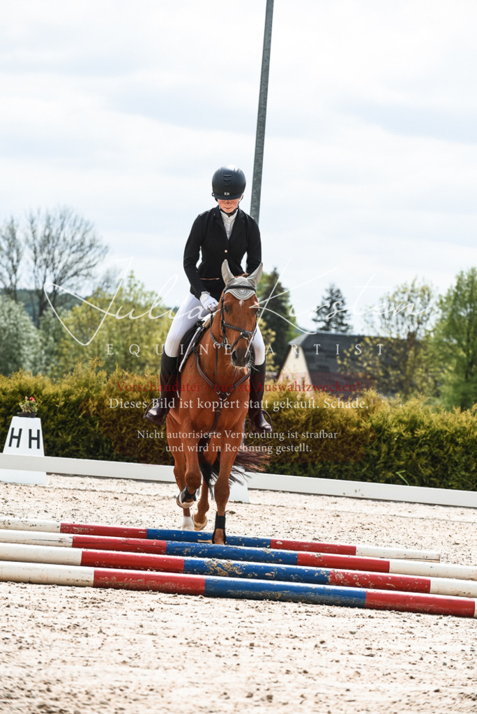 20230518_JK-Röhrsdorf-10-108 | Pferde- und Turnierfotografie in Westsachsen. Pferdeportraits, Auftragszeichnungen und intuitive Kunst.